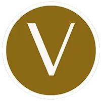 V icon
